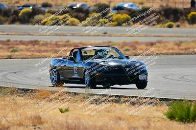 media/Nov-16-2024-Extreme Speed (Sat) [[6587d07cc4]]/Gold Group/Session 2 (Turns 3 and 5)/